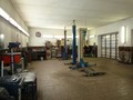 Fotka 1